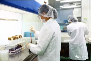 完美構(gòu)筑嚴(yán)謹(jǐn)?shù)漠a(chǎn)品售后質(zhì)量管理體系在互聯(lián)網(wǎng)銷售中的應(yīng)用